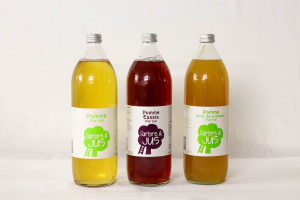 Carton Jus 6 bouteilles